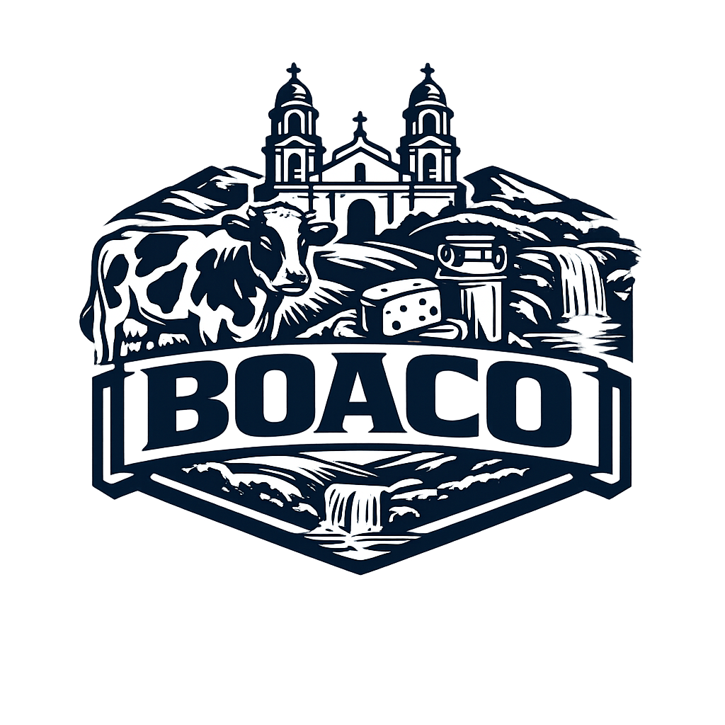 Diseño 02