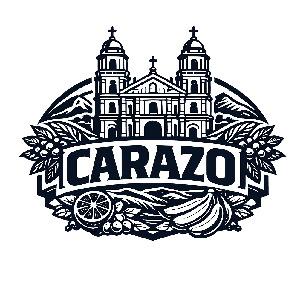 Diseño 03