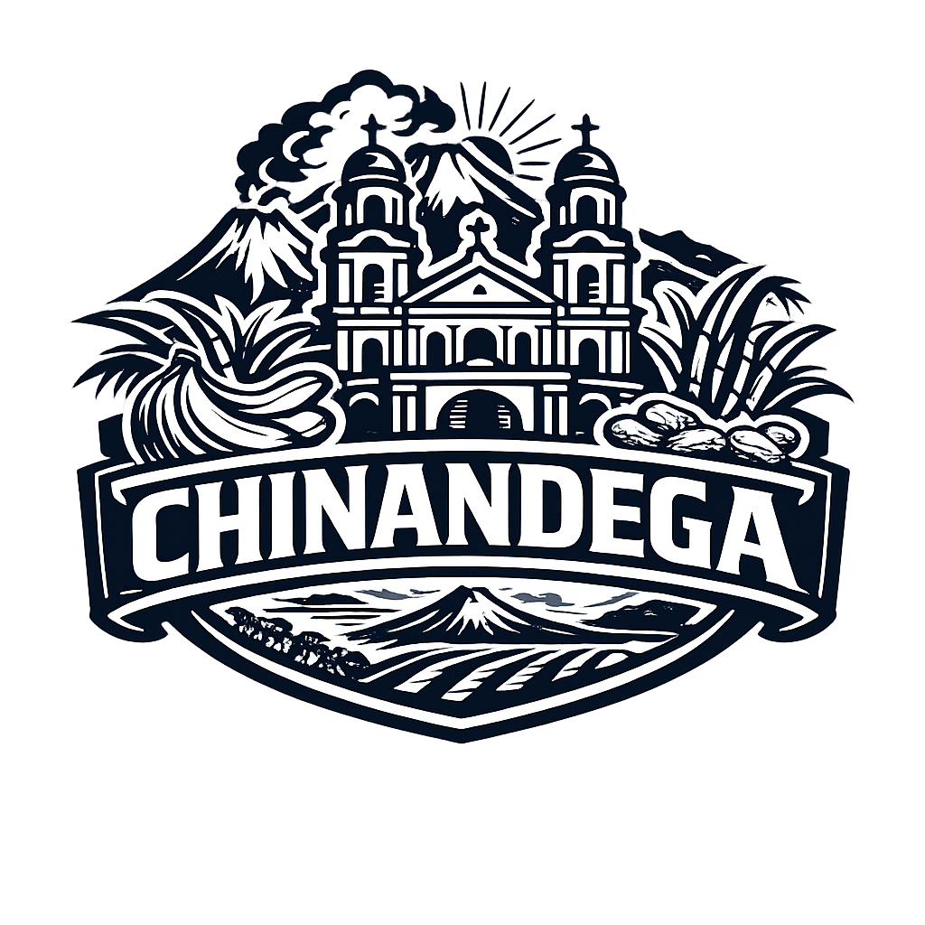 Diseño 04