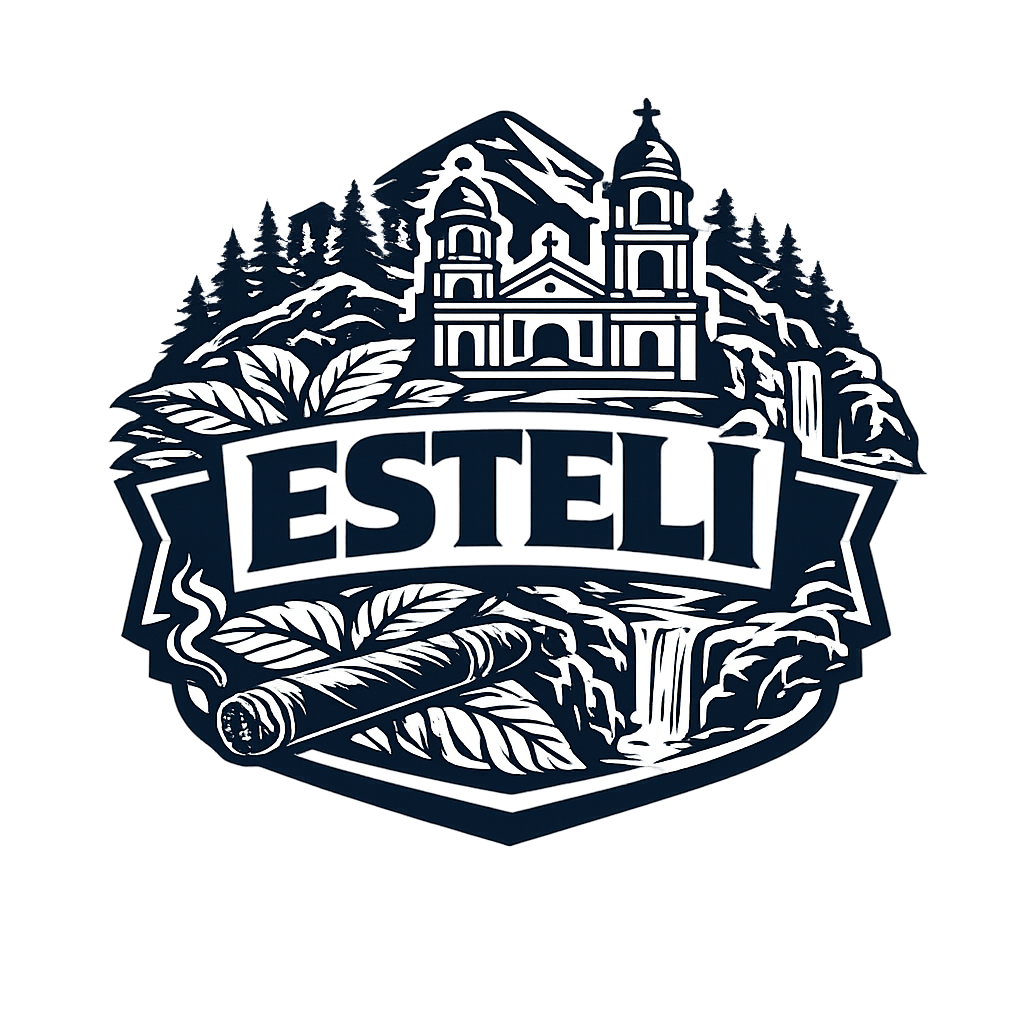 Diseño 06