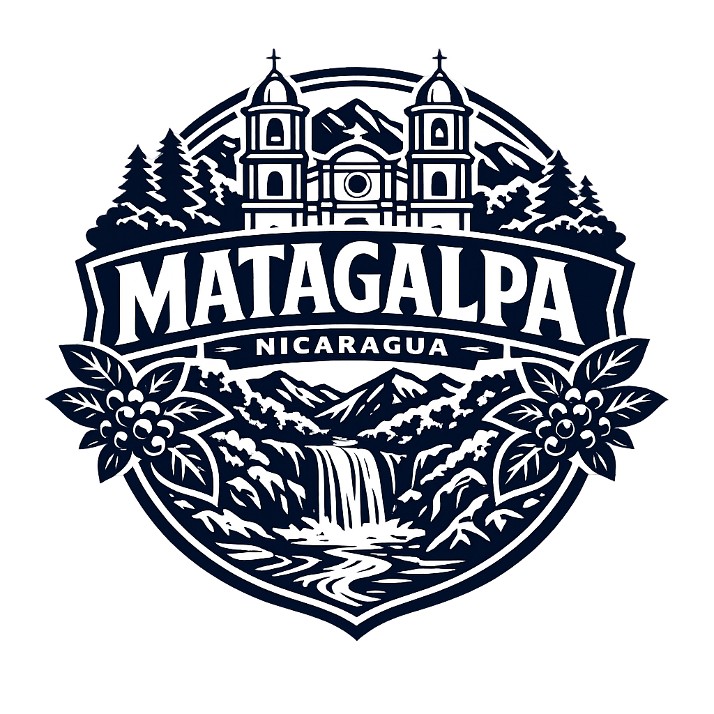Diseño 12