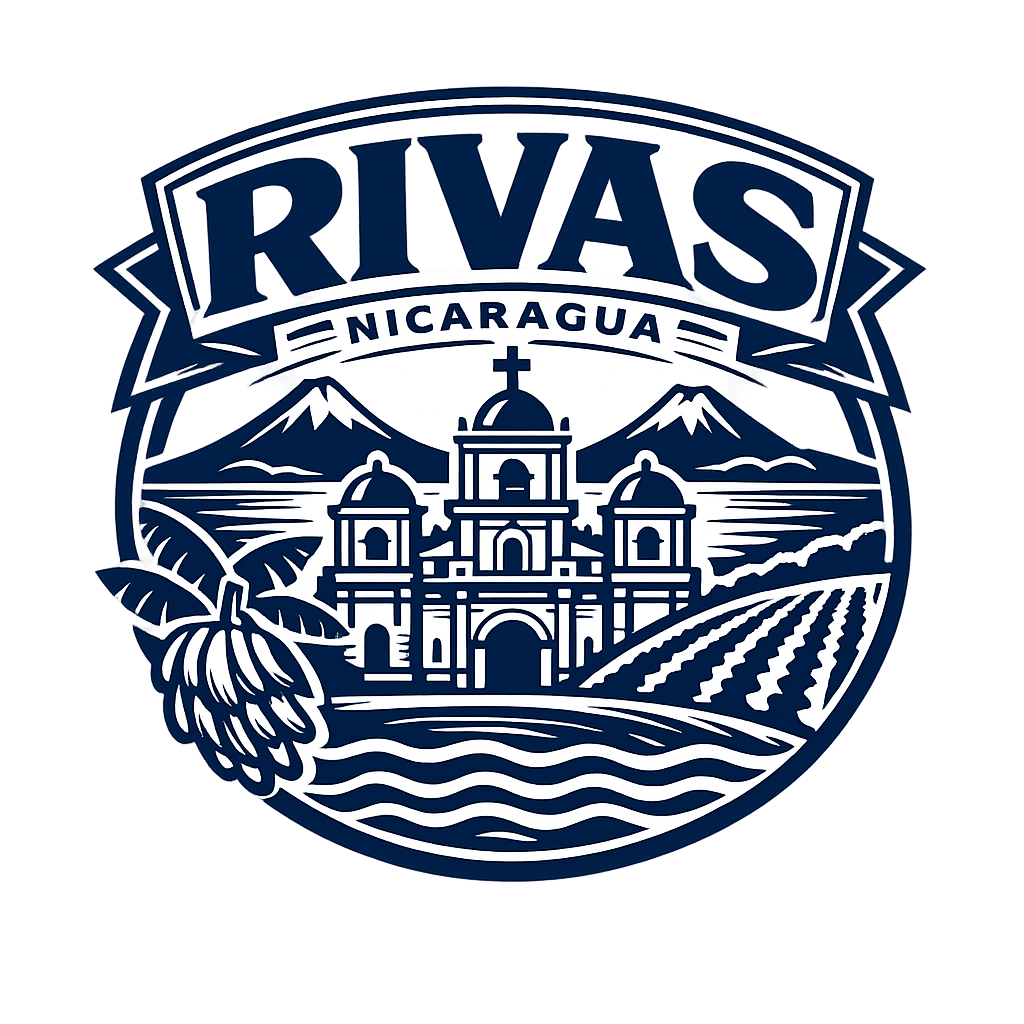 Diseño 15