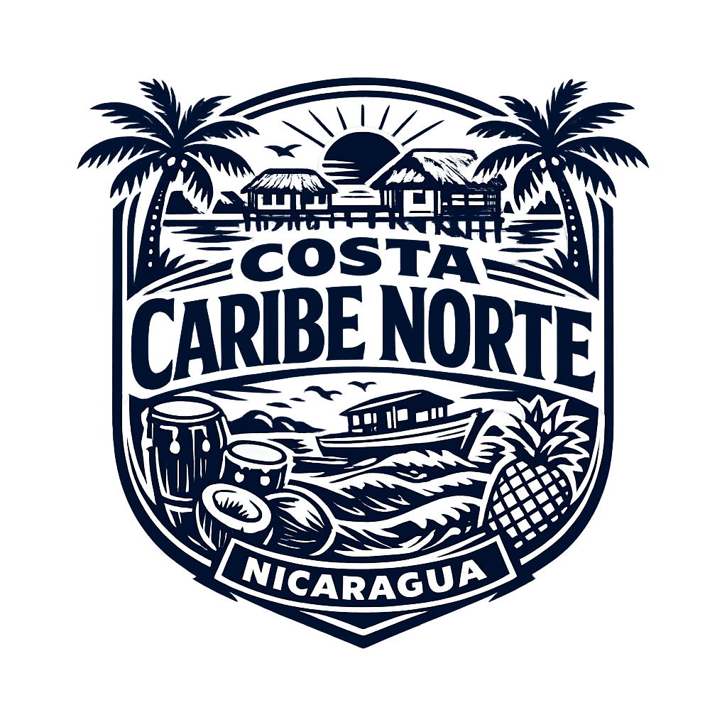 Diseño 16