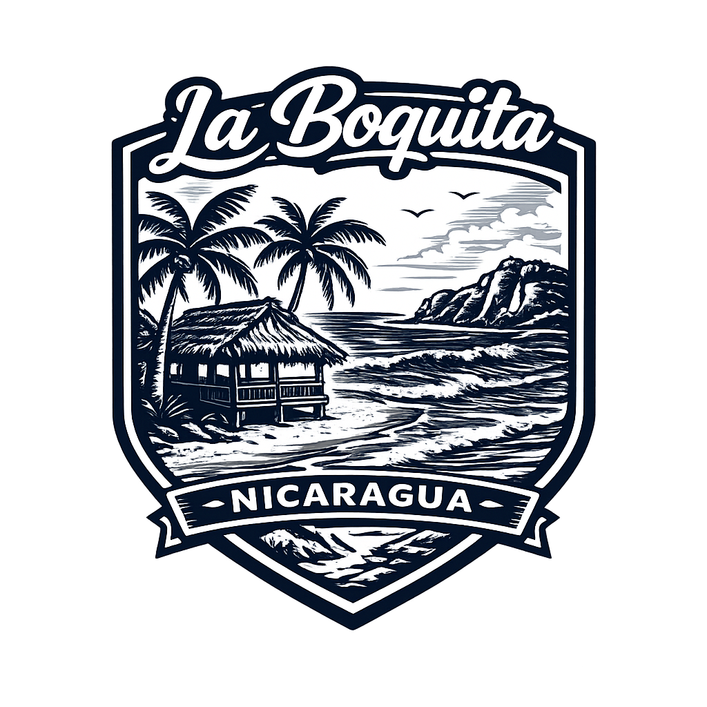 Diseño 29