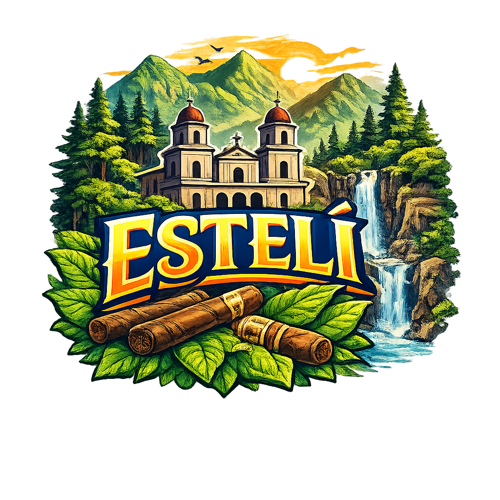 Diseño 07