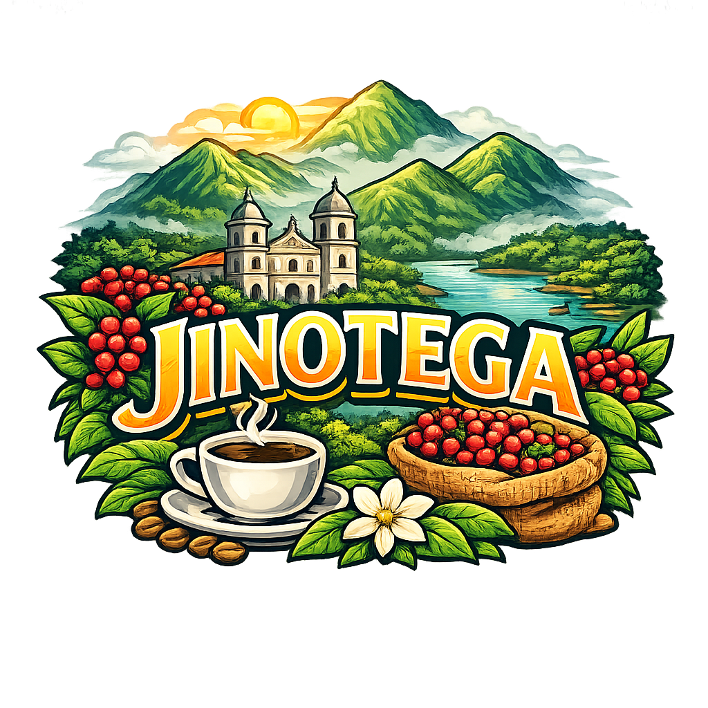 Diseño 08