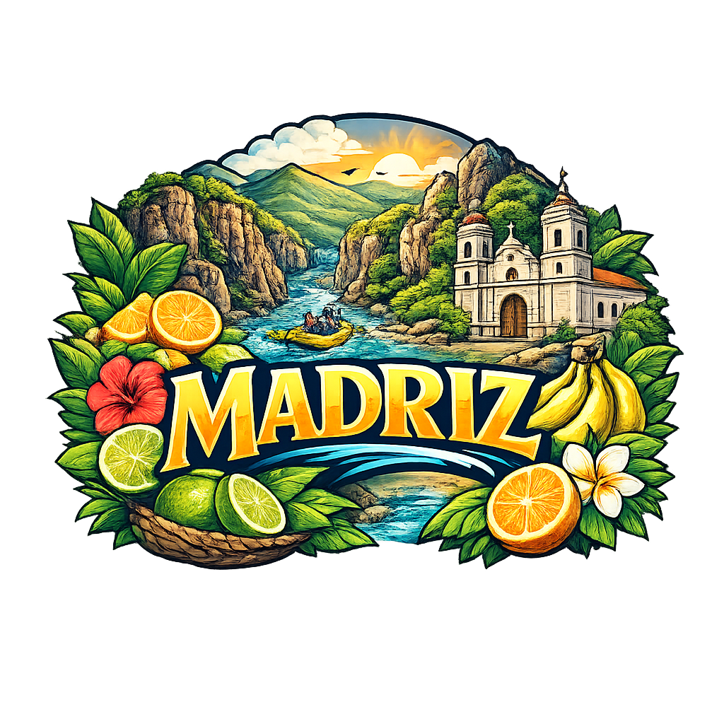 Diseño 20