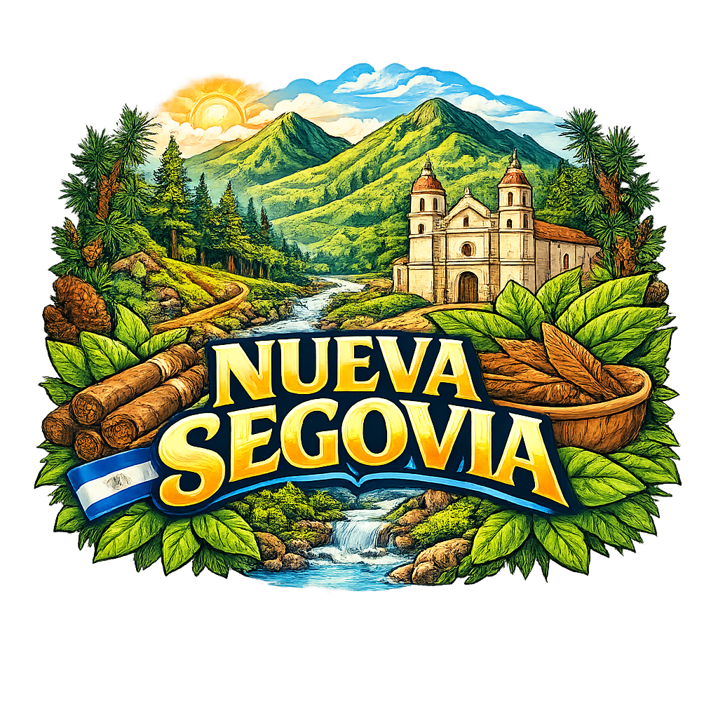 Diseño 21